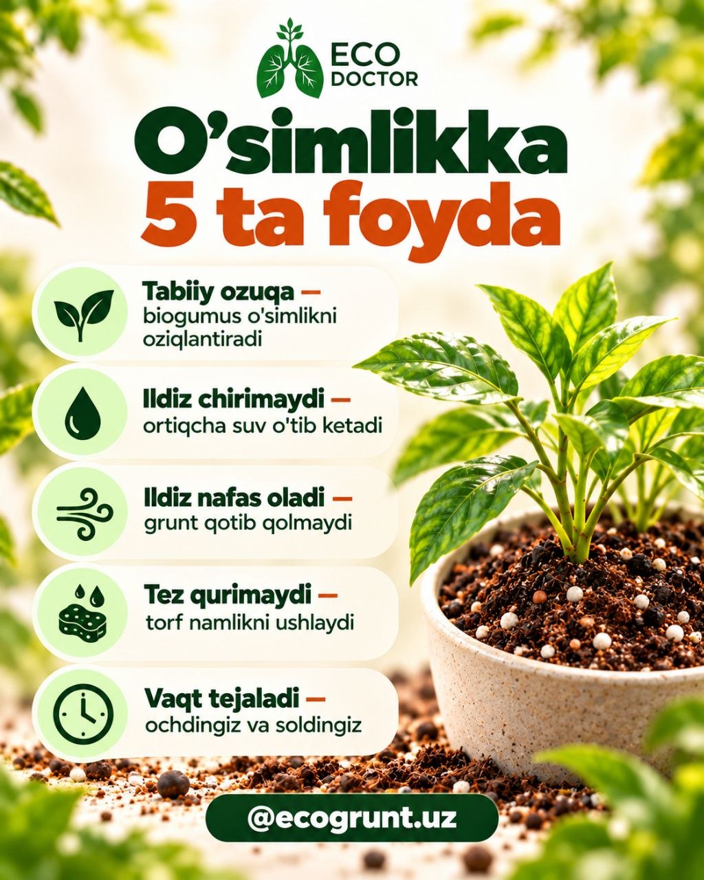 O'simlikka 5 ta foyda: tabiiy ozuqa, ildiz chirimaydi, ildiz nafas oladi, tez qurimaydi, vaqt tejaladi. @ecogrunt.uz